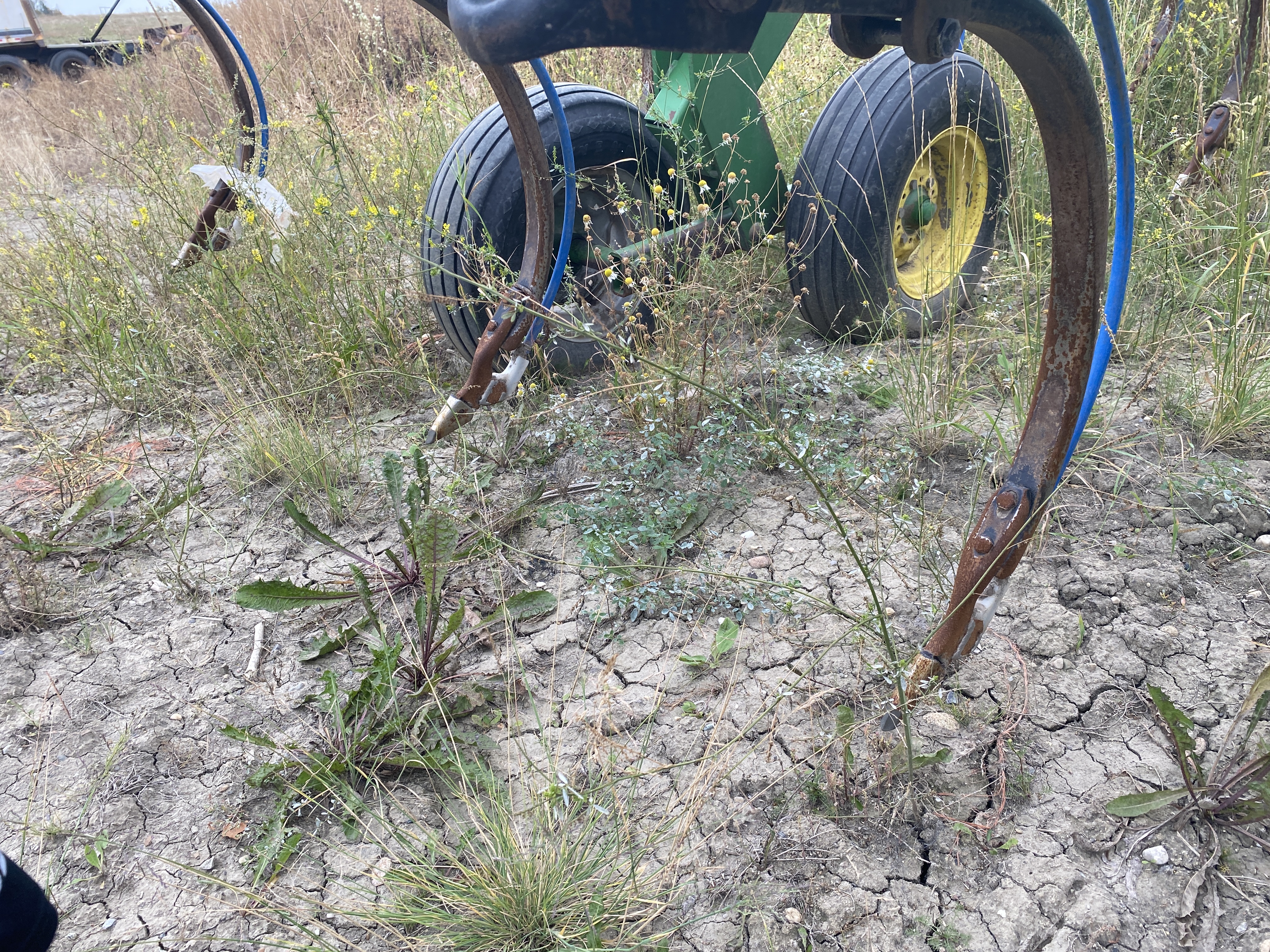 1998 John Deere 680 Chisel Plow 6